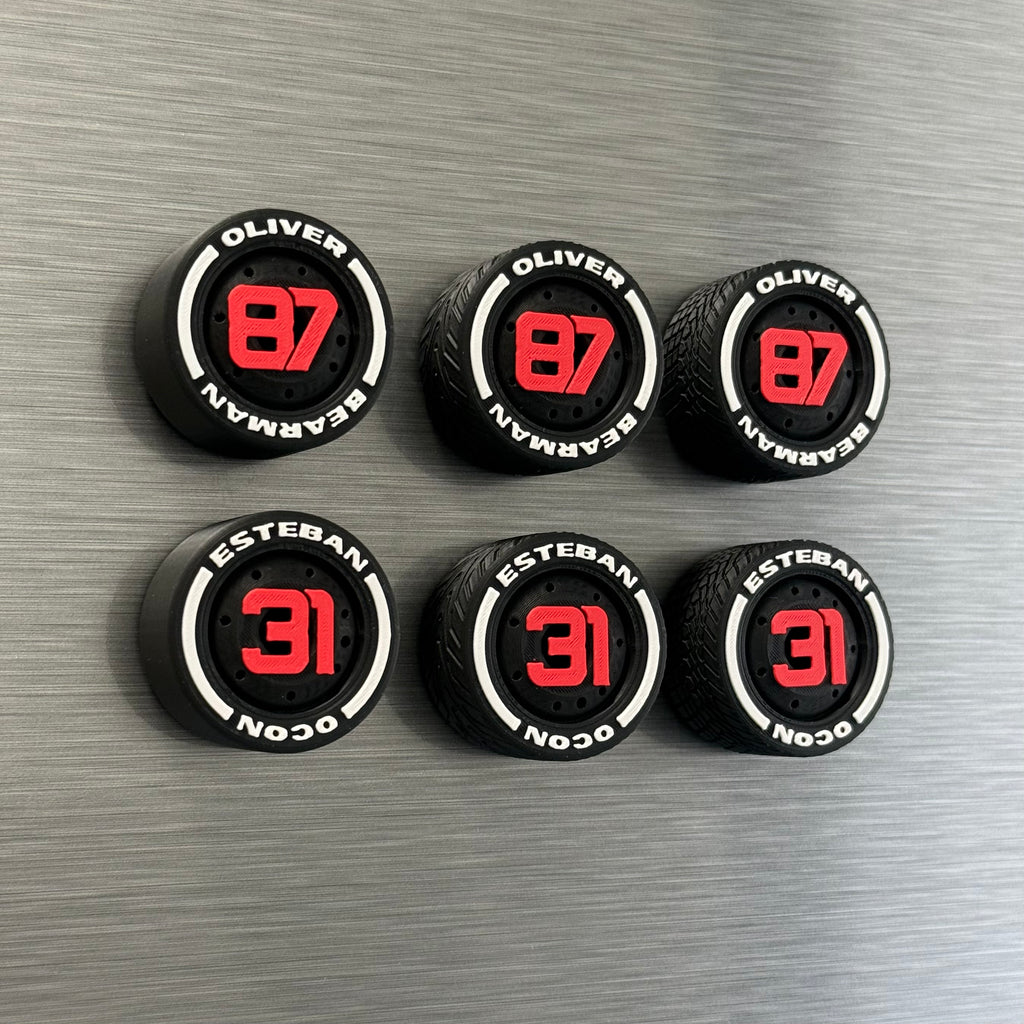Haas F1 Drivers Magnets Formula 1