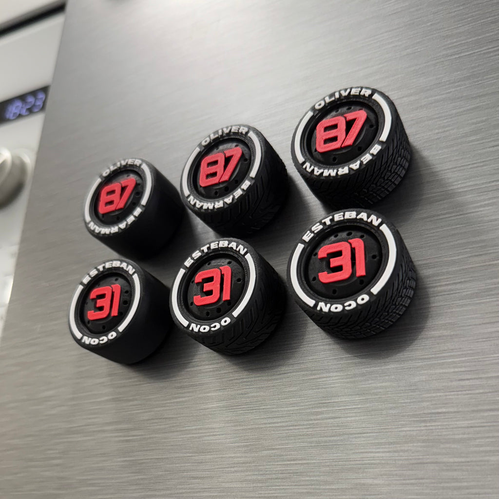 Haas F1 Drivers Magnets Formula 1