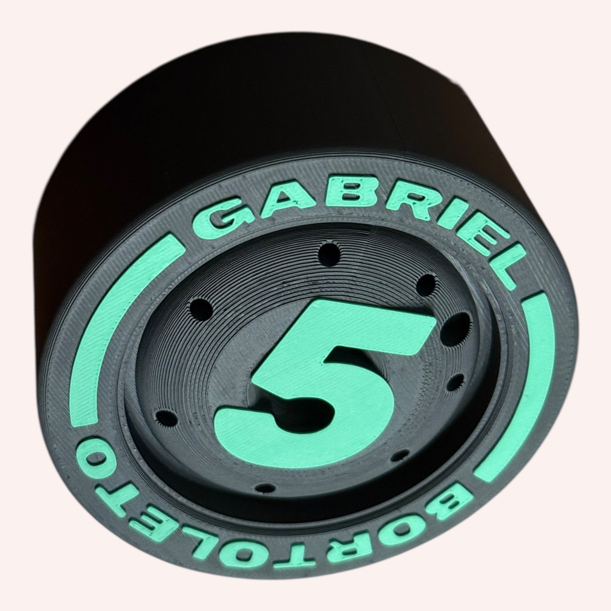Gabriel Bortoleto F1 Tire (Copy)