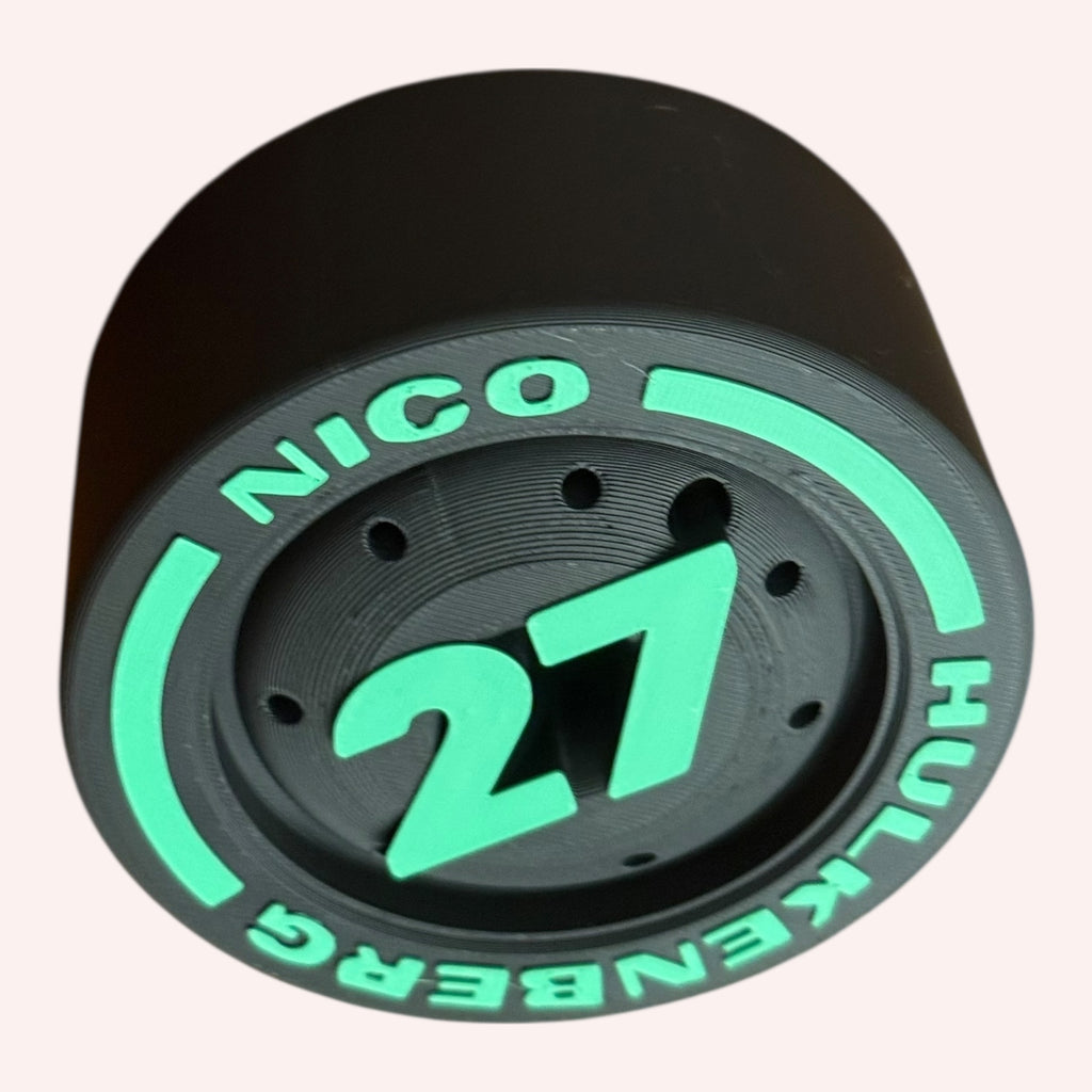 Nico Hulkenberg 27 F1 Tire